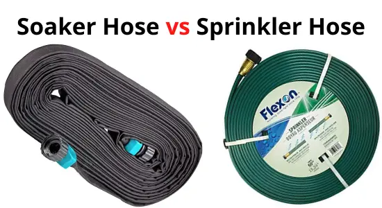 Soaker Hose vs Sprinkler