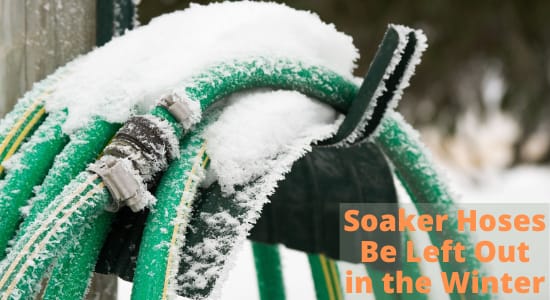Can Soaker Hoses Be Left Out in the Winter