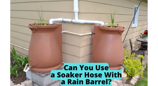 Can You Use a Soaker Hose With a Rain Barrel