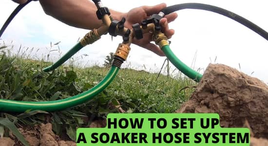 How to Set up a Soaker Hose System