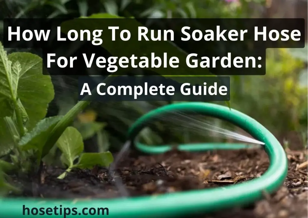 How Long To Run Soaker Hose For Vegetable Garden: Best Guide
