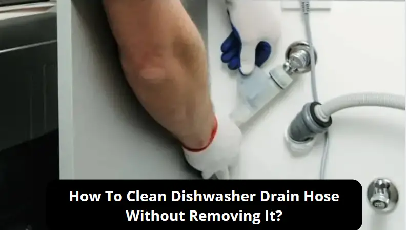 How To Clean Dishwasher Drain Hose Without Removing It?